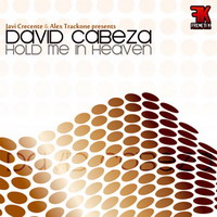 DAVID CABEZA - Hold me in heaven - (fk019mx)
