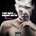 RAUL SOTO & MIGUEL SERNA - Ayo Technology (ps058mx)